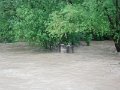 Povodne 203-2010   22